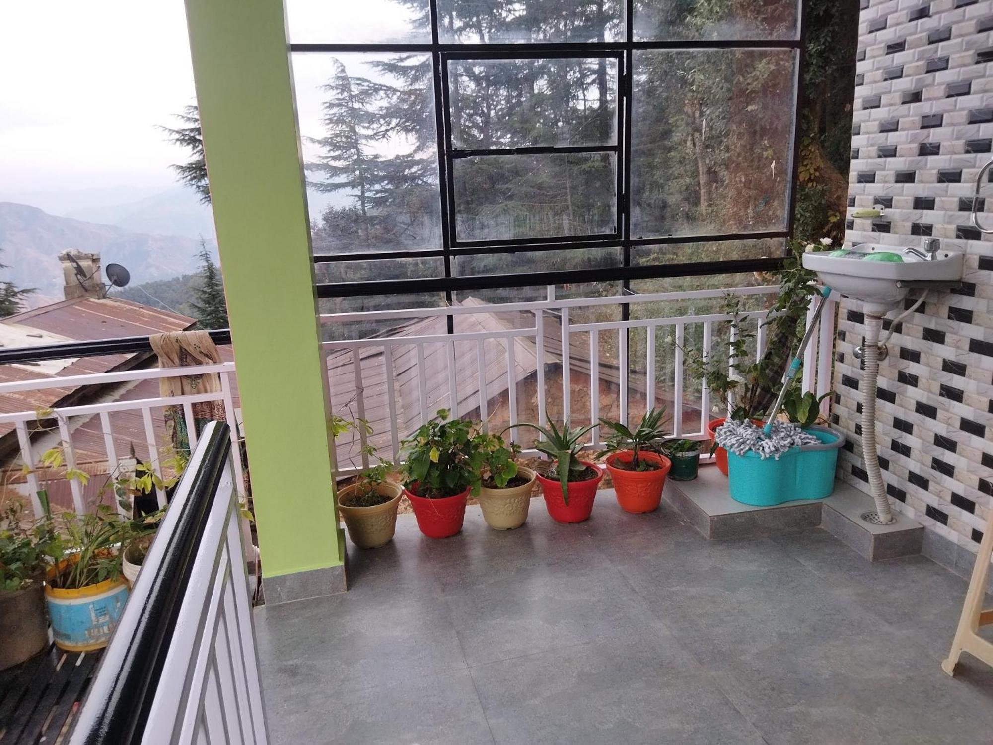 Tree Valley Homestay Chail ภายนอก รูปภาพ