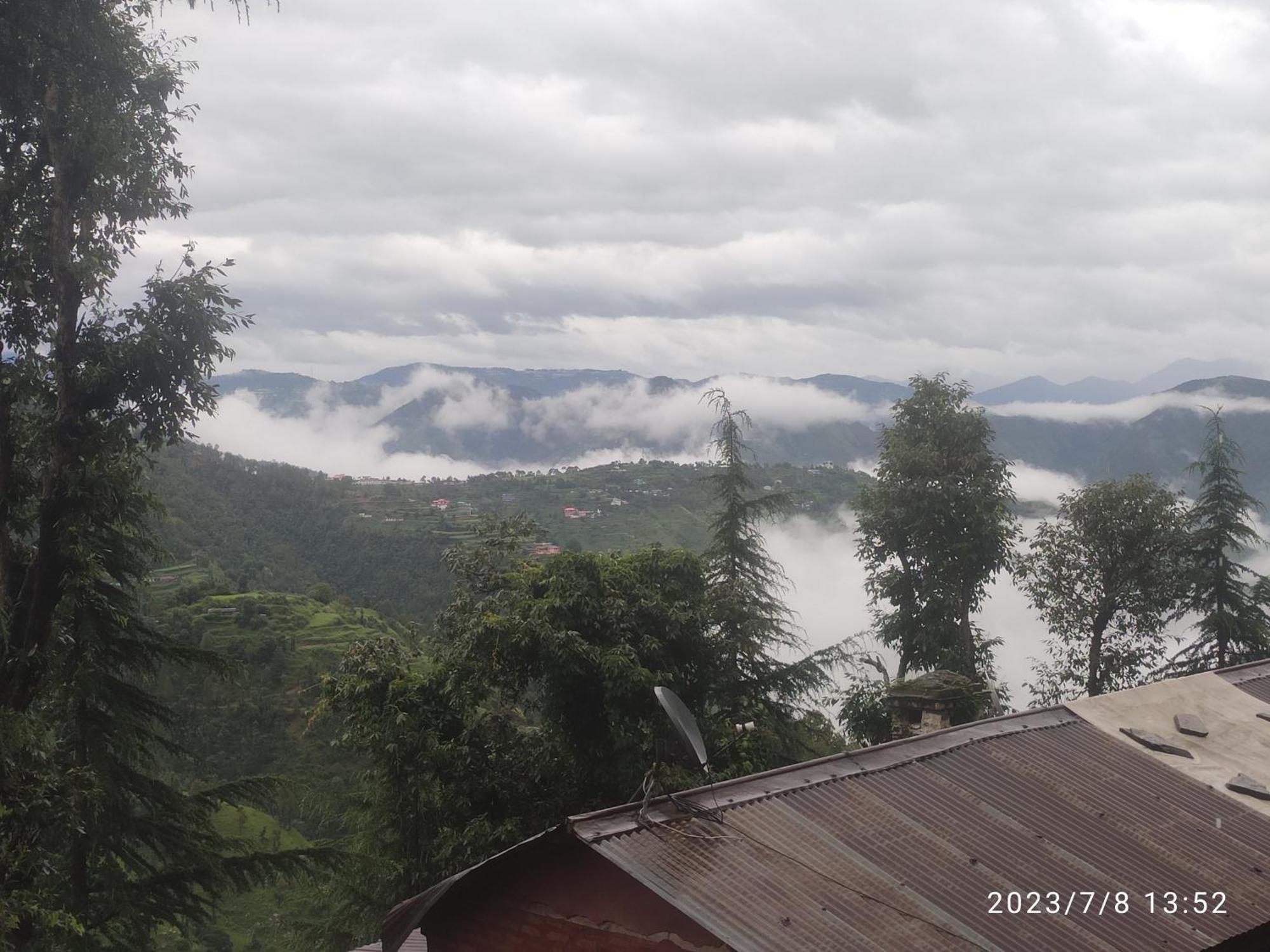 Tree Valley Homestay Chail ภายนอก รูปภาพ