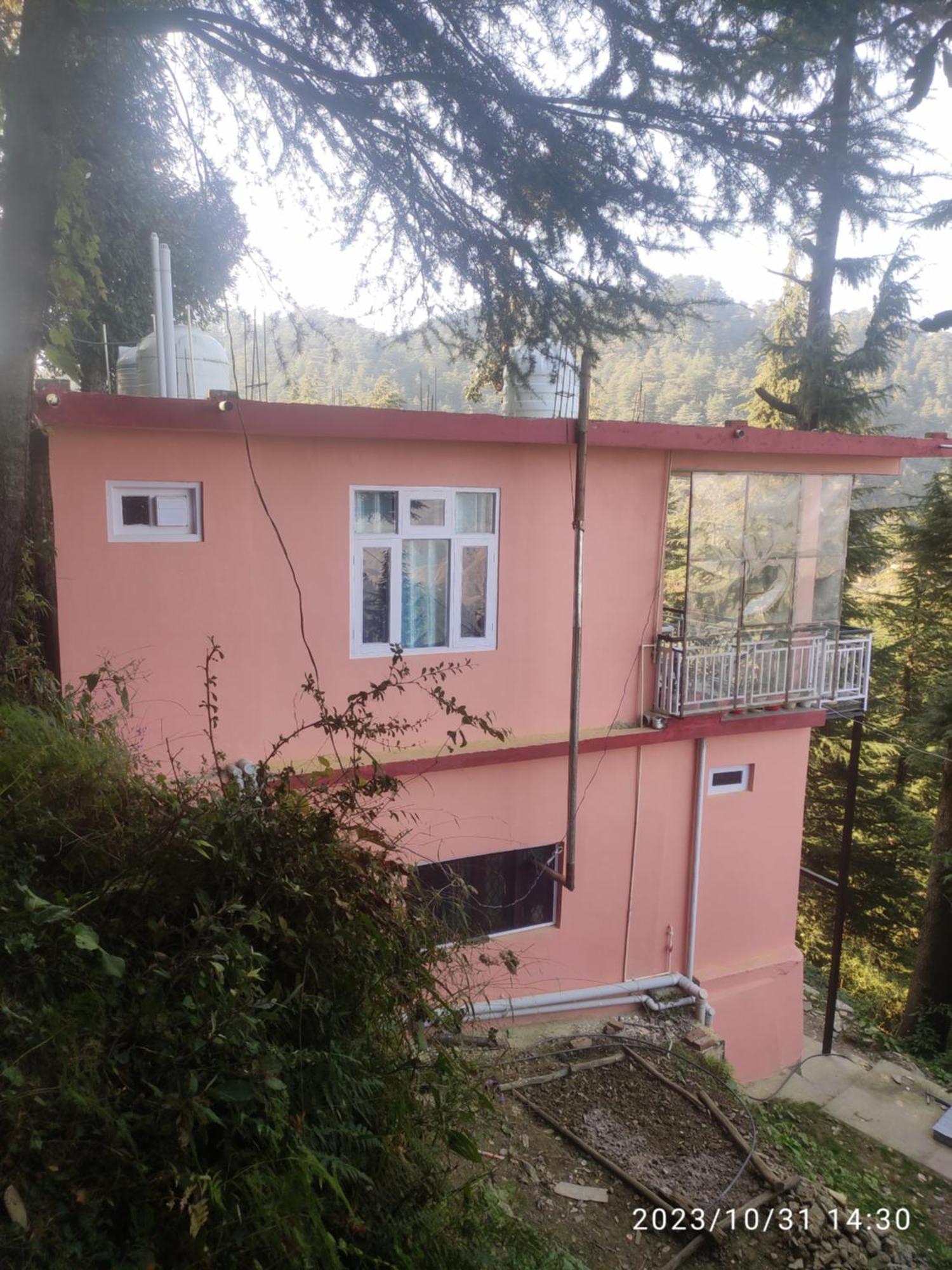 Tree Valley Homestay Chail ภายนอก รูปภาพ