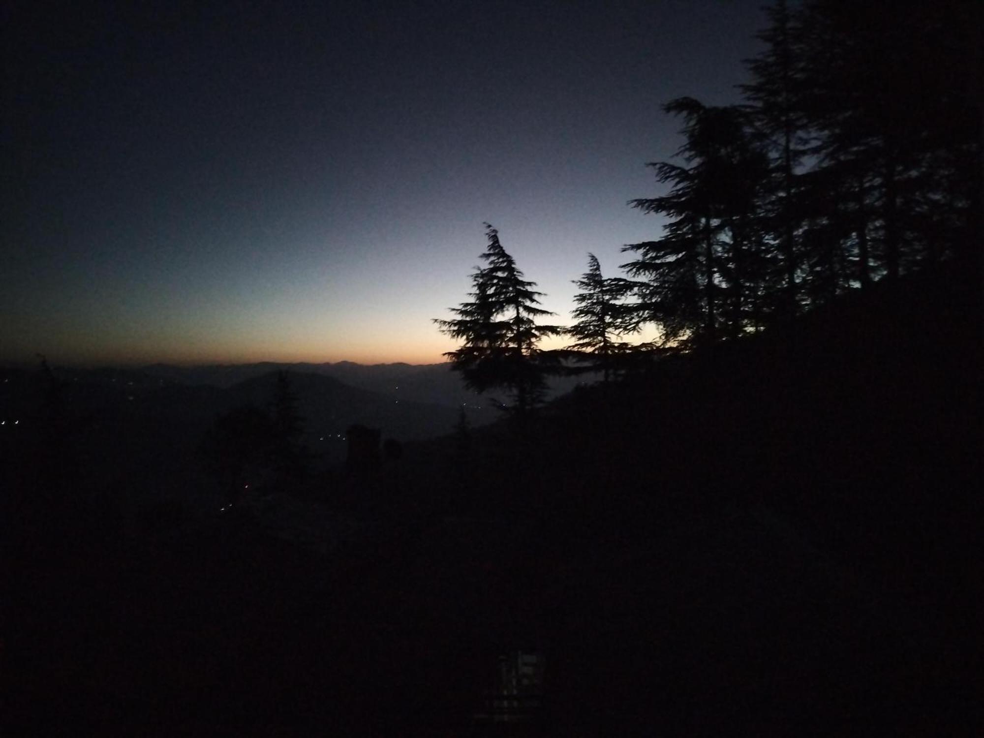 Tree Valley Homestay Chail ภายนอก รูปภาพ