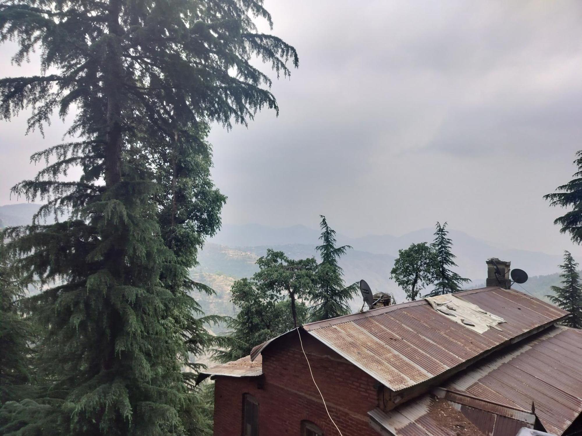 Tree Valley Homestay Chail ภายนอก รูปภาพ
