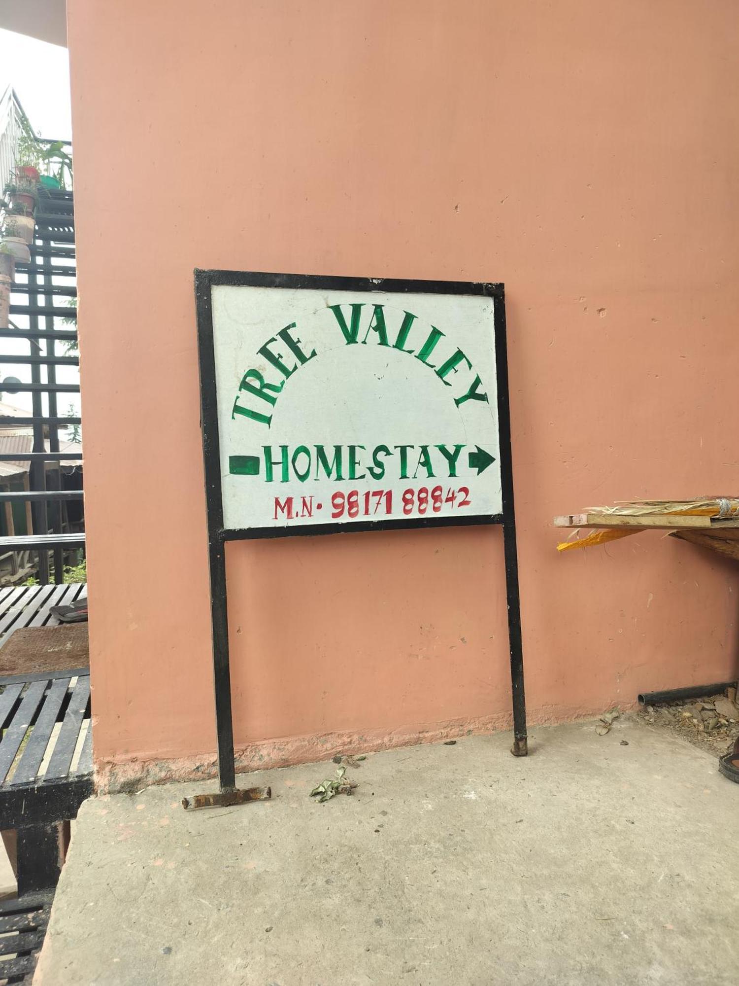 Tree Valley Homestay Chail ภายนอก รูปภาพ
