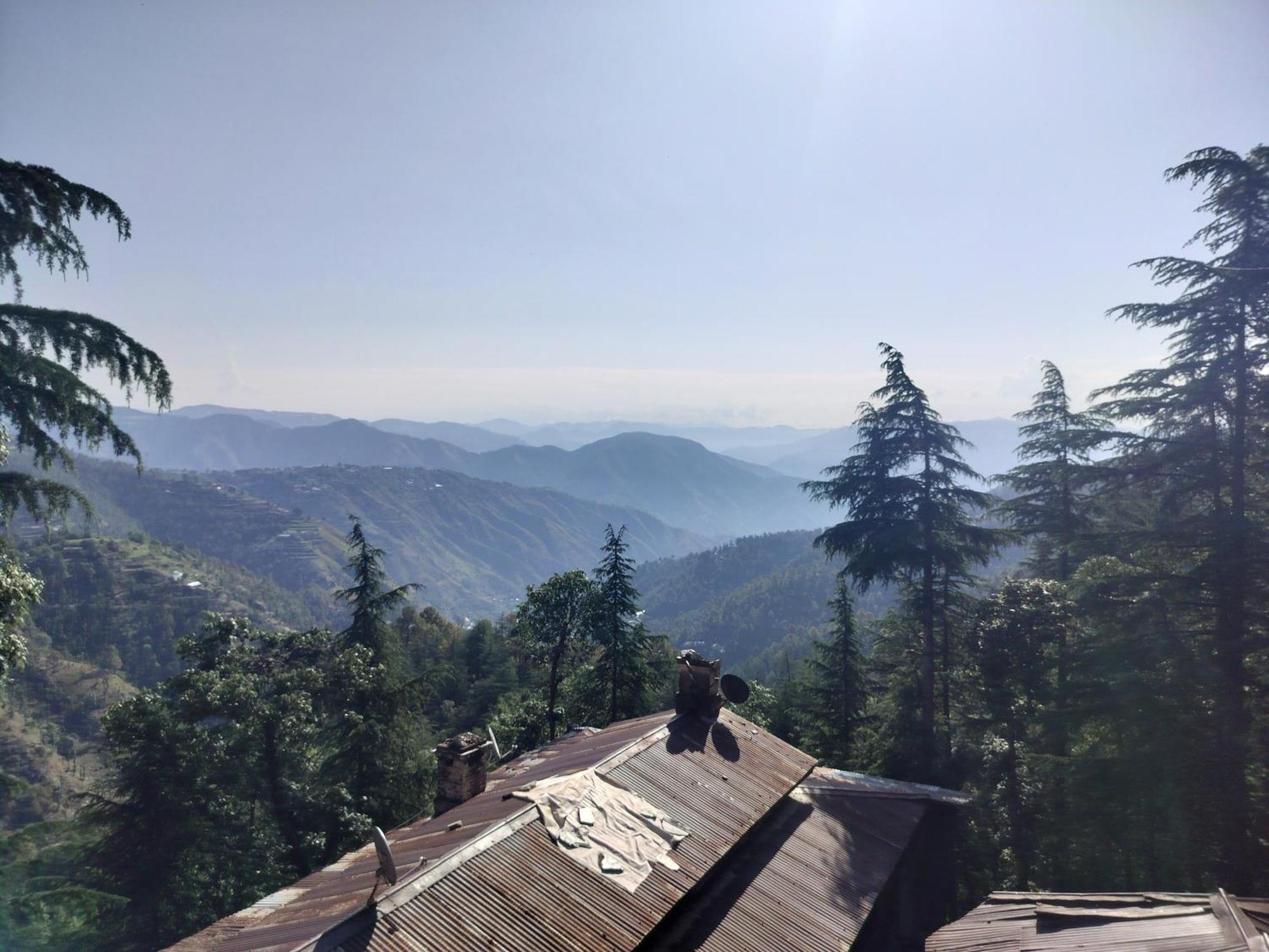 Tree Valley Homestay Chail ภายนอก รูปภาพ