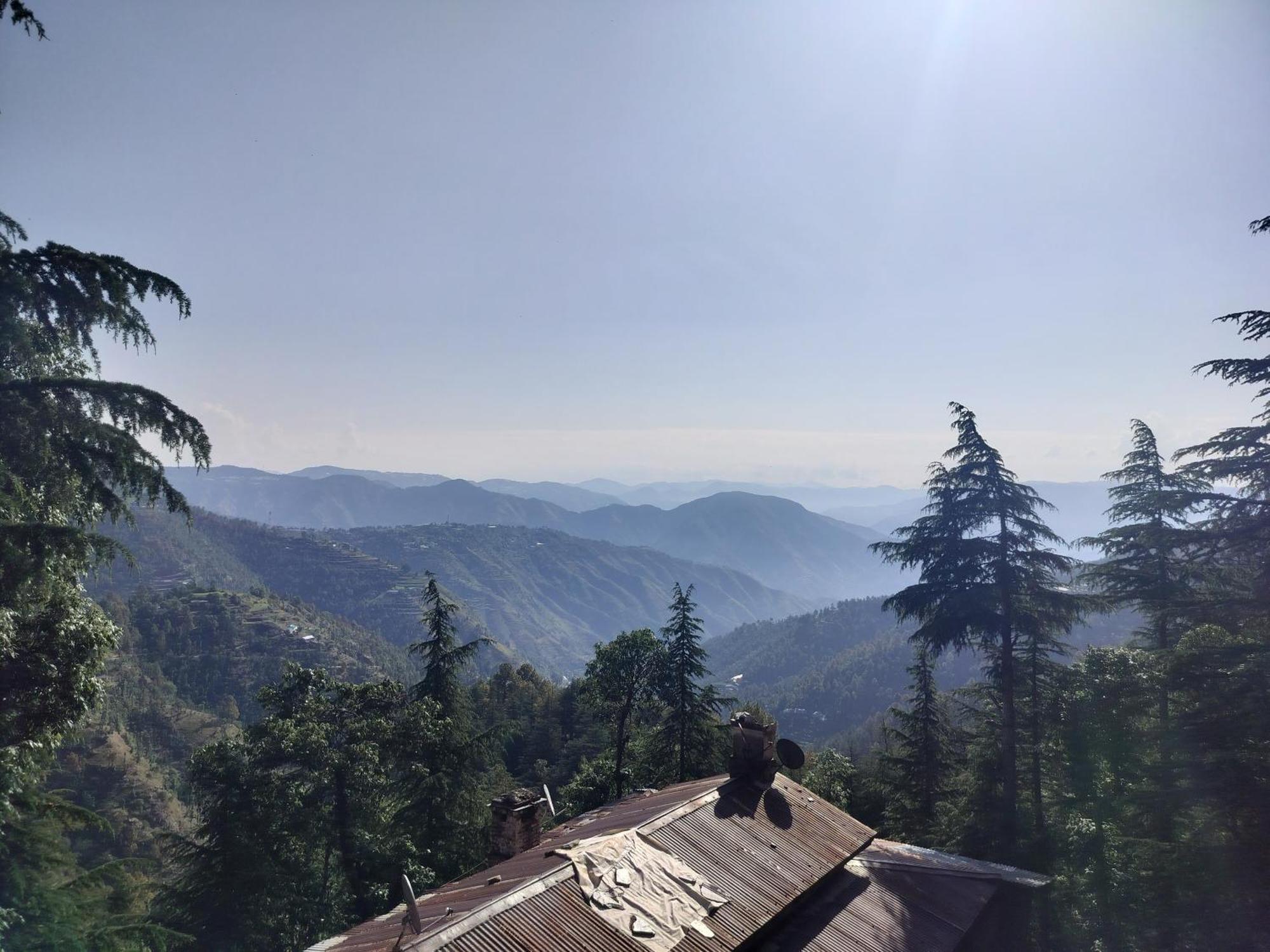 Tree Valley Homestay Chail ภายนอก รูปภาพ