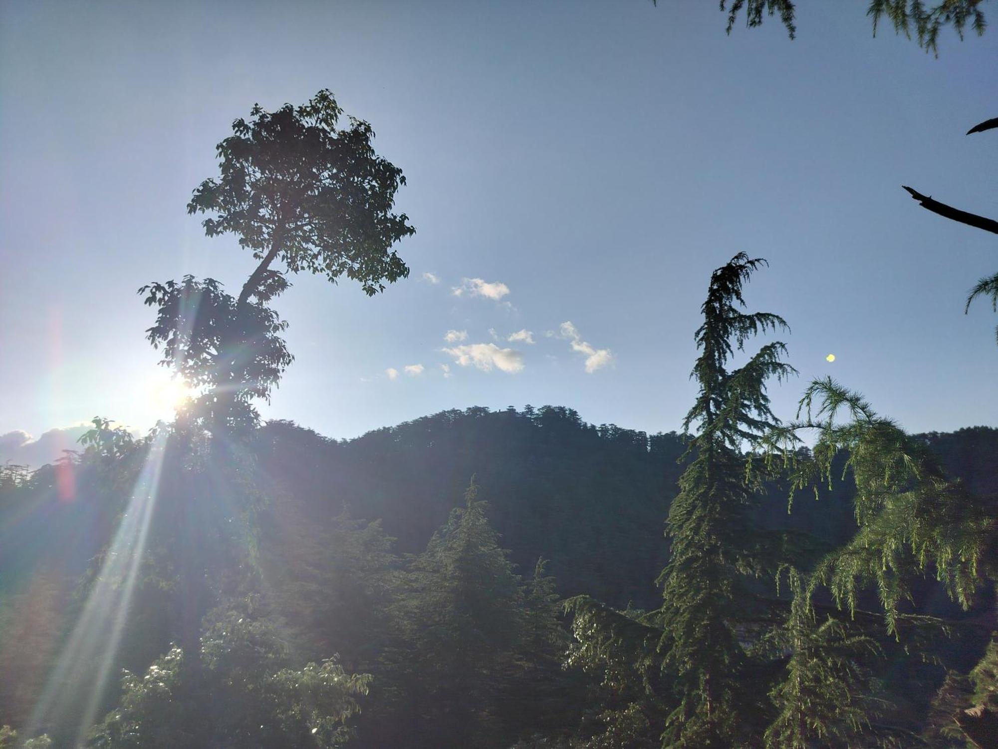 Tree Valley Homestay Chail ภายนอก รูปภาพ
