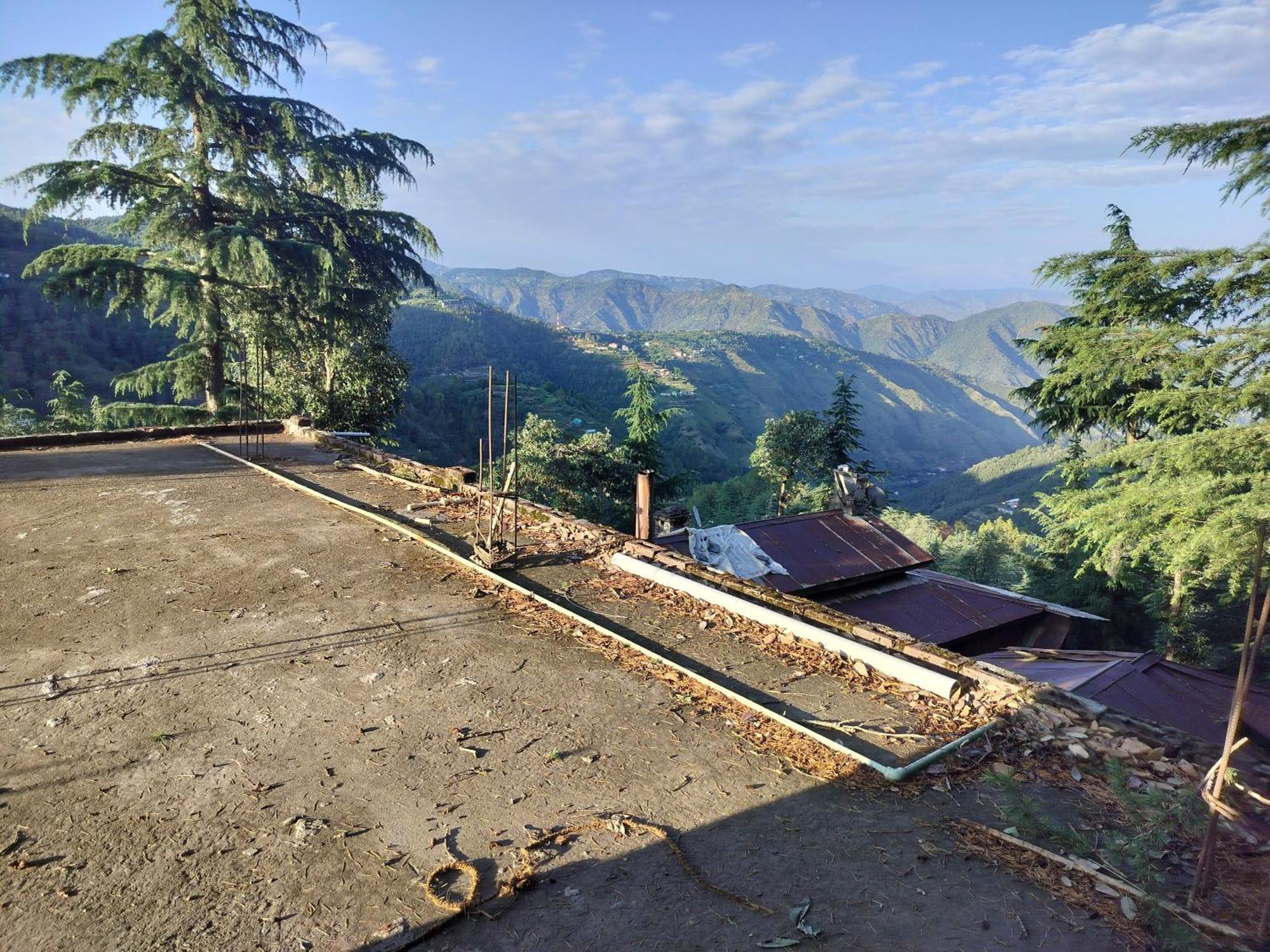 Tree Valley Homestay Chail ภายนอก รูปภาพ