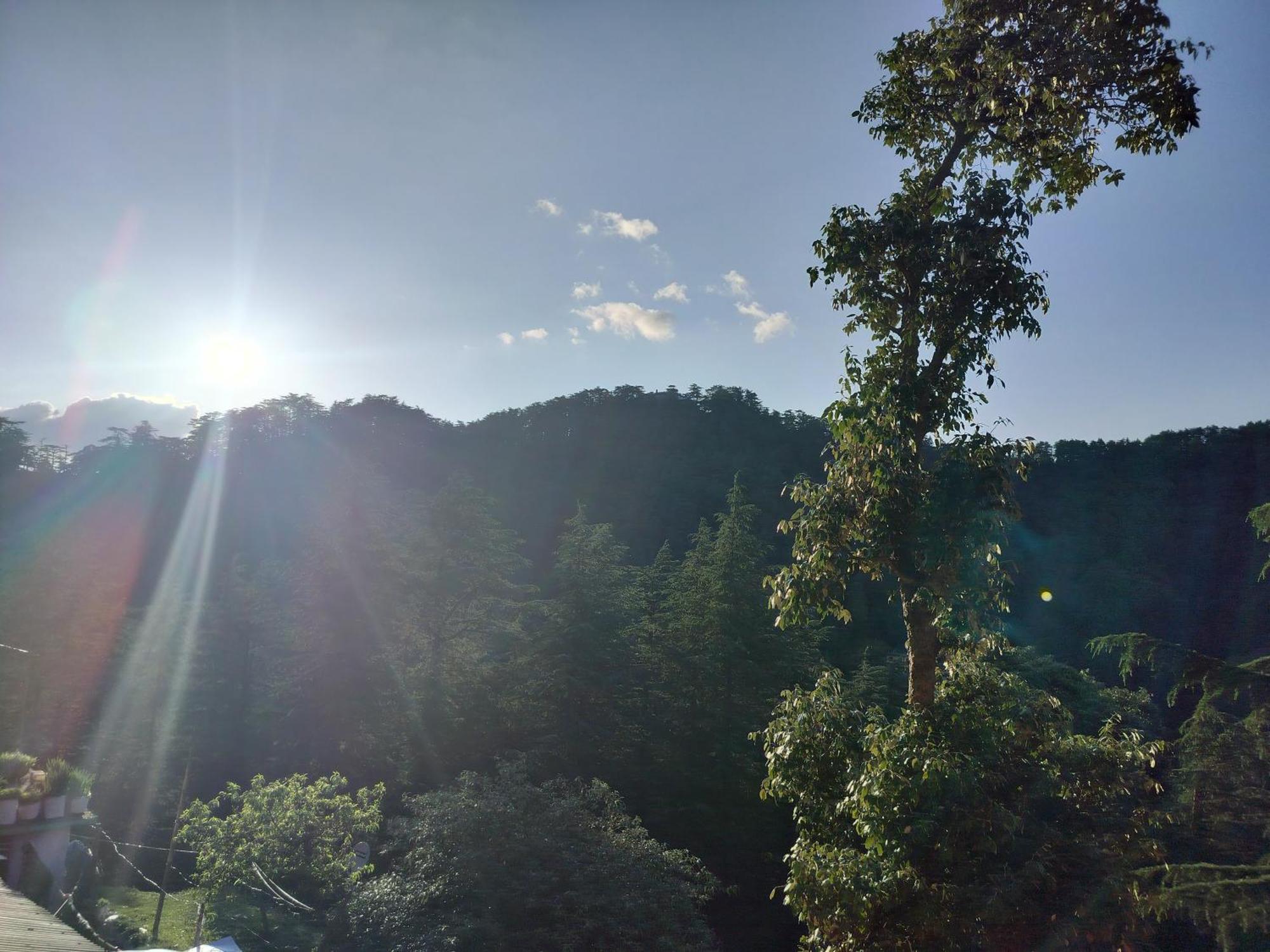 Tree Valley Homestay Chail ภายนอก รูปภาพ