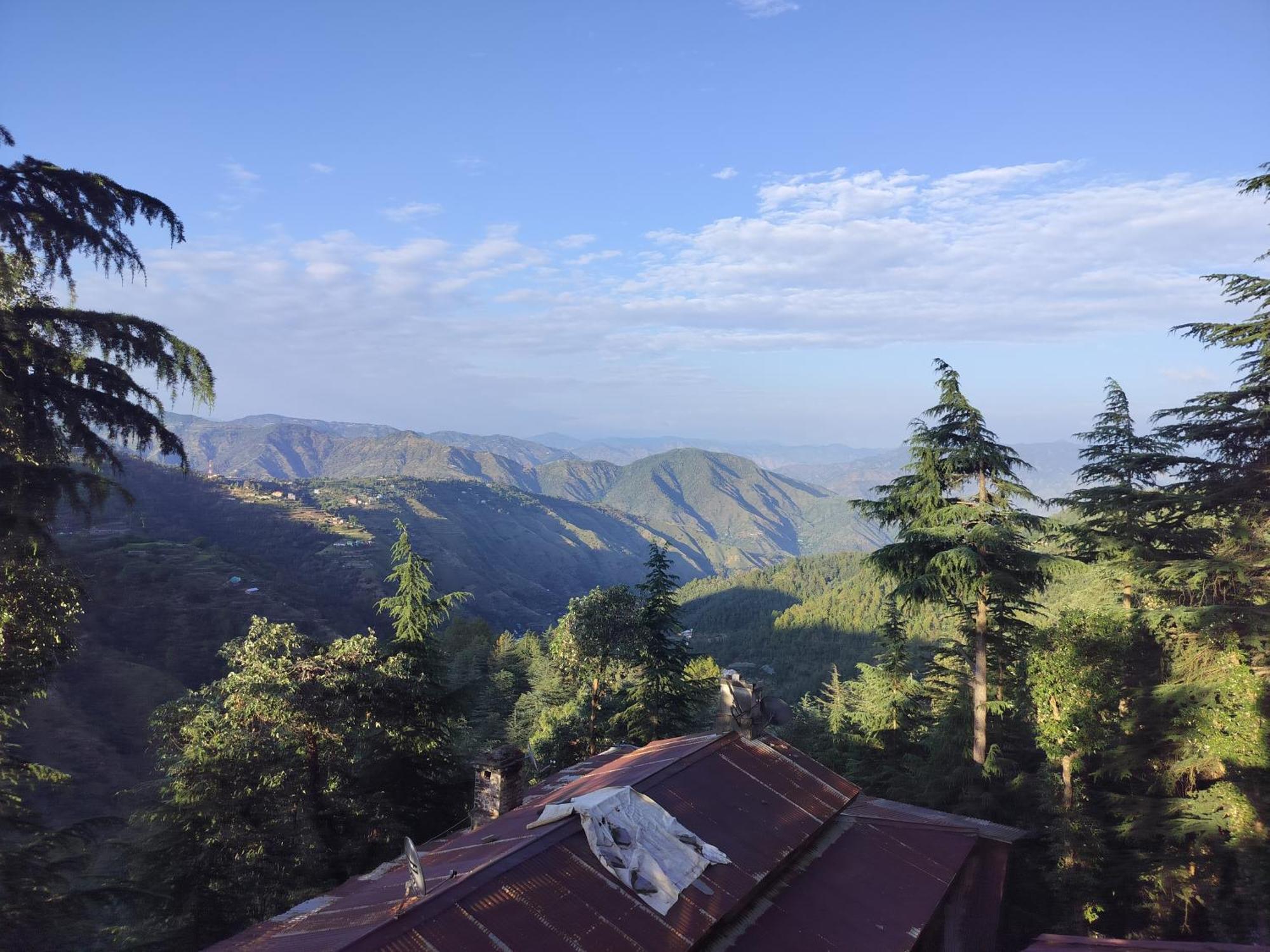 Tree Valley Homestay Chail ภายนอก รูปภาพ