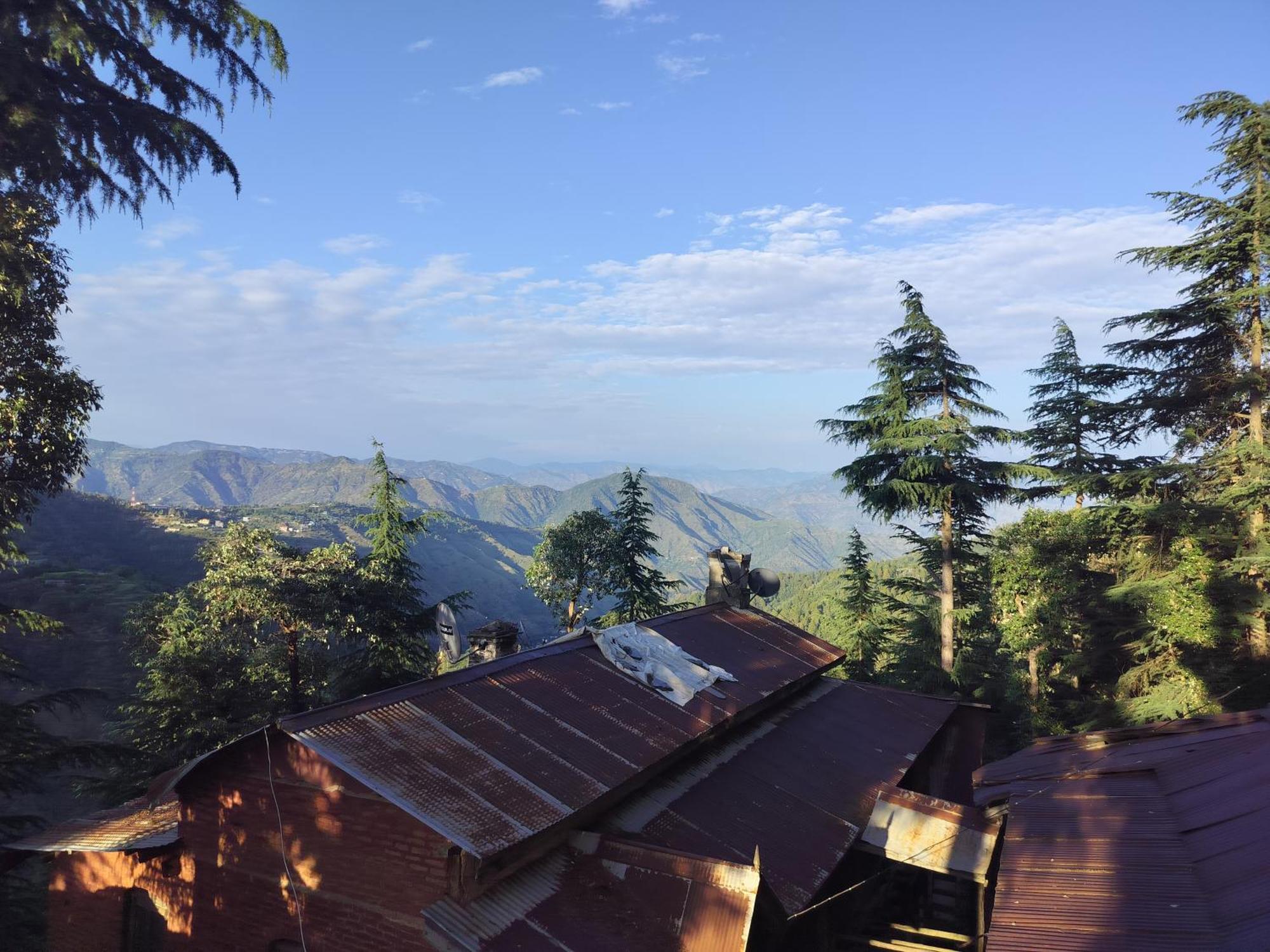 Tree Valley Homestay Chail ภายนอก รูปภาพ